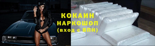 прущие грибы Богородск